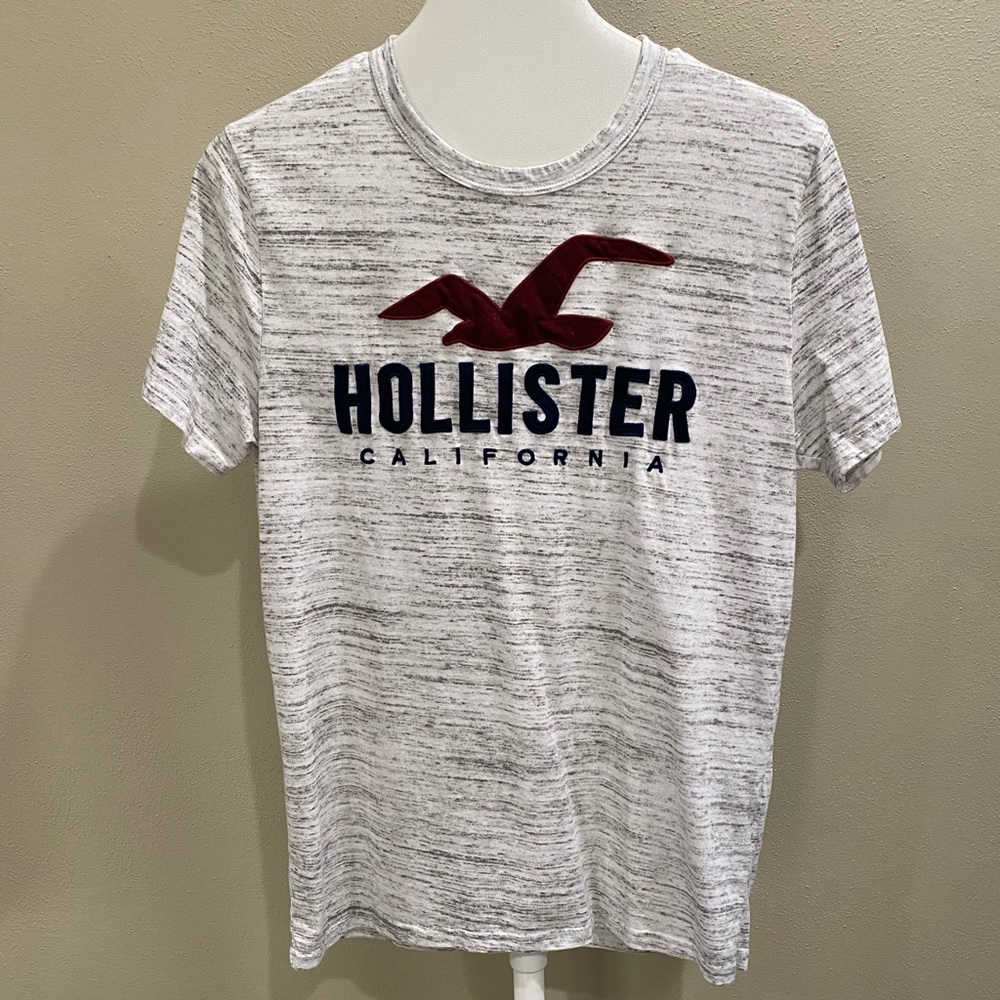 Men’s Hollister t-shirt